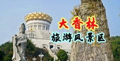 啊啊艹b视频中国浙江-绍兴大香林旅游风景区